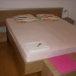 בית הארחה Apartments Premantura פרמנטורה