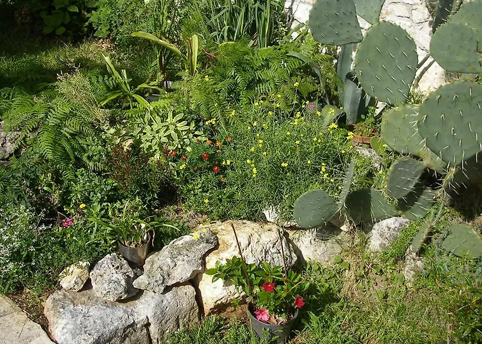 Affittacamere Apartments Premantura