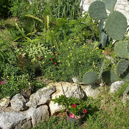 Guest house Apartments Premantura